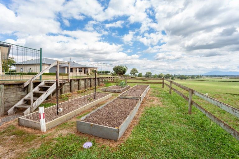 Photo of property in 240 Gunn Road, Waharoa, 3474