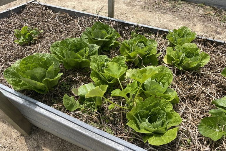 Photo of property in Dunkerron Farm, 852 Oneriri Road, Kaiwaka, 0573