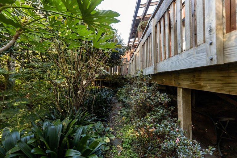 Photo of property in 22 Collingwood Street, Hokowhitu, Palmerston North, 4410