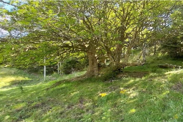 Photo of property in 1762 Kohumaru Road, Peria, Kaitaia, 0482