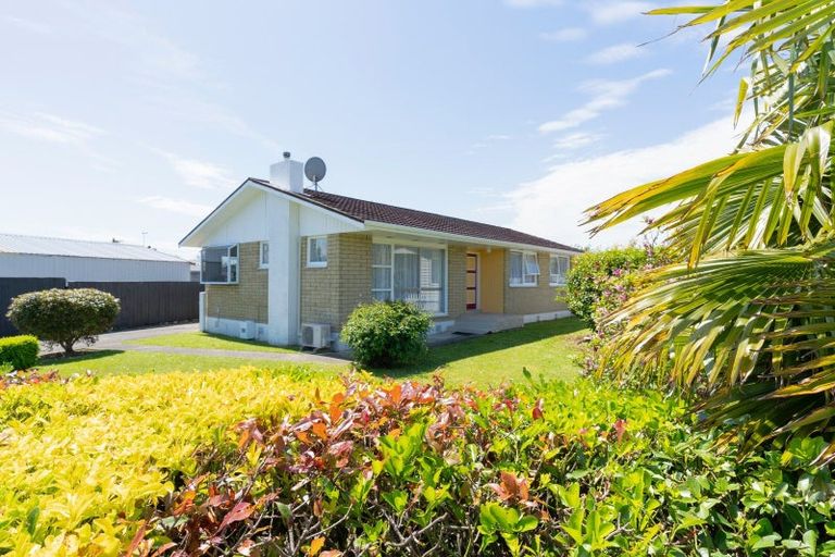 Photo of property in 17 Cornwall Street, Levin, 5510