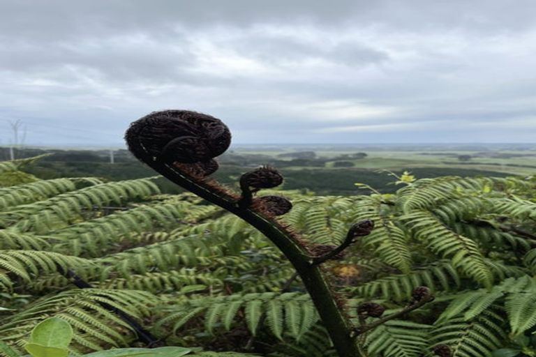 Photo of property in 323 Ngahere Park Road, Turitea, Palmerston North, 4472