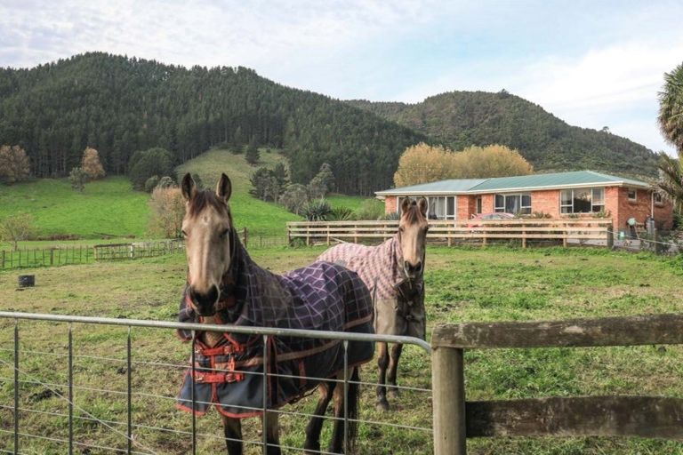 Photo of property in 452 Rawhiti Road, Te Aroha, 3392