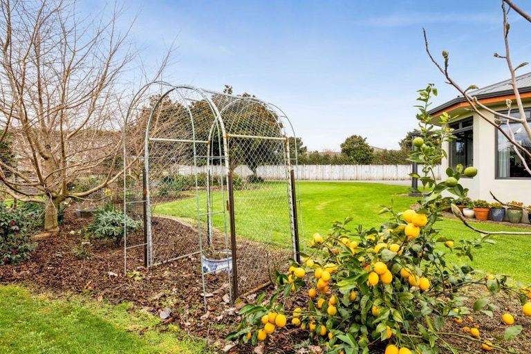 Photo of property in 112b Princess Street, Waitara, 4383