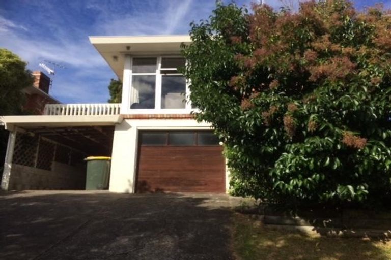 Photo of property in 20 Alton Avenue, Hillcrest, Auckland, 0627