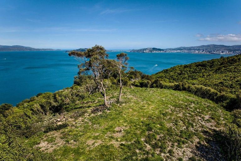 Photo of property in 50 Dungarvan Road, Newlands, Wellington, 6037