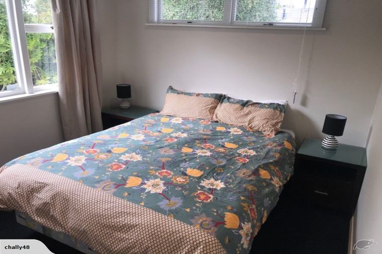 Photo of property in 149 Saint Albans Street, St Albans, Christchurch, 8014