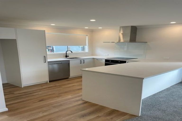 Photo of property in 117 Limbrick Street, Terrace End, Palmerston North, 4410