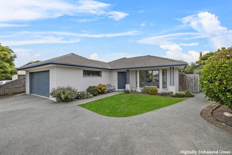 Photo of property in 19 Cayman Close, Shirley, Christchurch, 8052