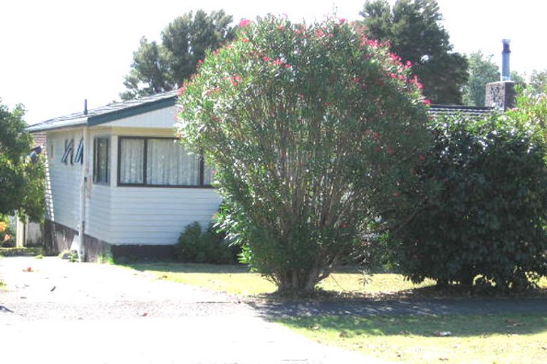 Photo of property in 55 Seabrook Avenue, New Lynn, Auckland, 0600