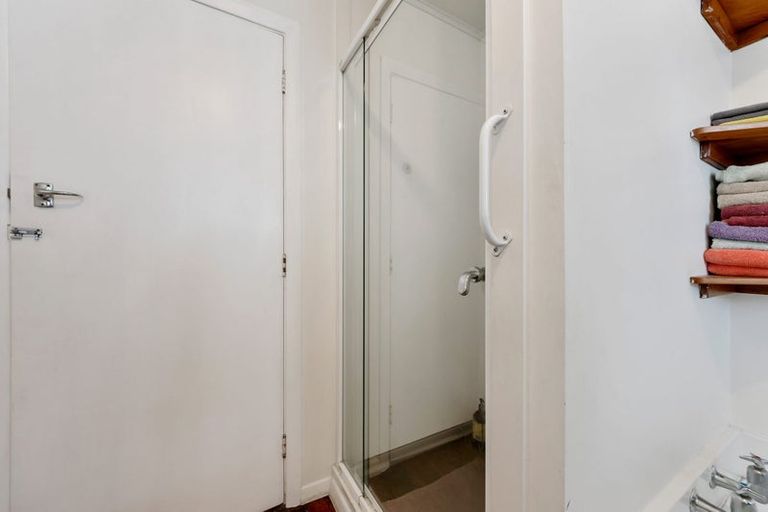 Photo of property in 106 Brougham Street, Addington, Christchurch, 8024