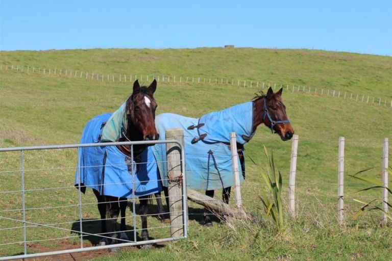 Photo of property in 71b Taiapa Valley Road, Muriwai, 0881