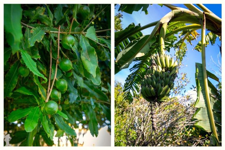 Photo of property in 3 Donelle Place, Te Puke, 3119