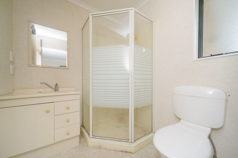 Photo of property in 161 College Street, Awapuni, Palmerston North, 4412