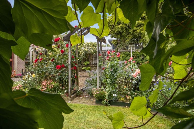 Photo of property in 58 Adams Street, Waihi, 3610