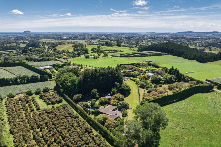 Photo of property in 80 Vernon Road, Minden, Tauranga, 3171