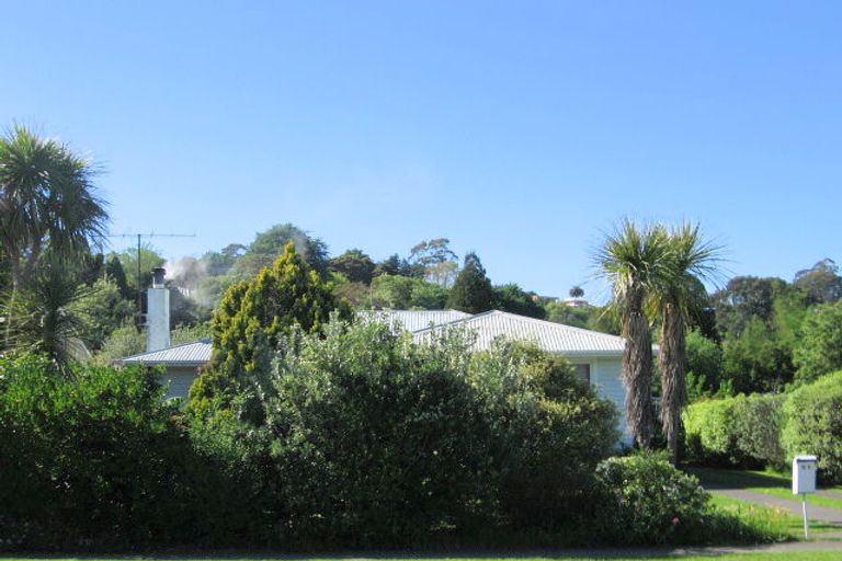 Photo of property in 51 Valley Road, Mangapapa, Gisborne, 4010