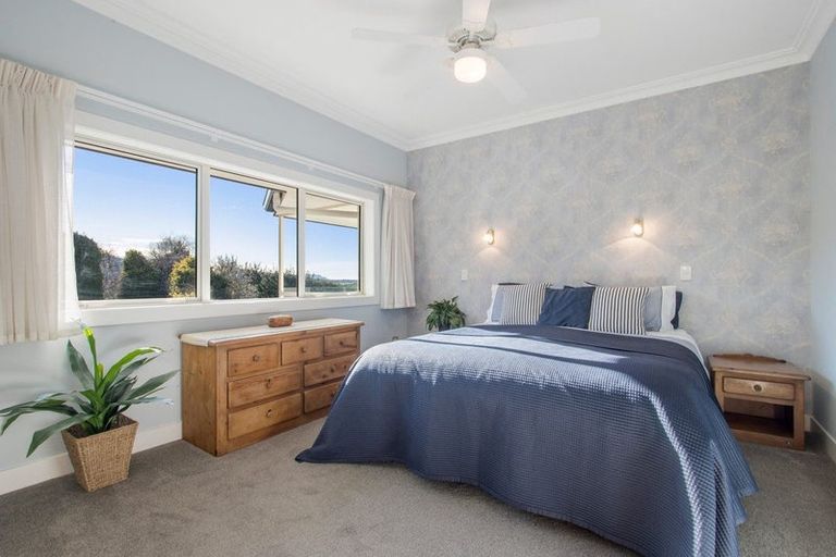 Photo of property in 252 Tuapiro Road, Tahawai, Katikati, 3170