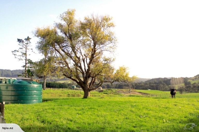 Photo of property in 1313 Whangaripo Valley Road, Whangaripo, Wellsford, 0972