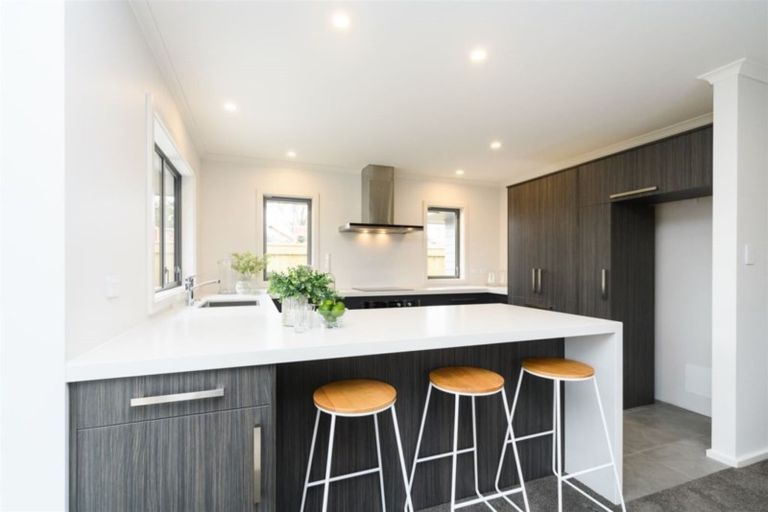 Photo of property in 48 Weston Avenue, Roslyn, Palmerston North, 4414