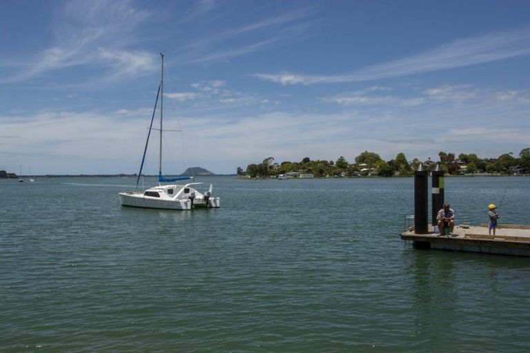 Photo of property in 285 Plummers Point Road, Whakamarama, Tauranga, 3172