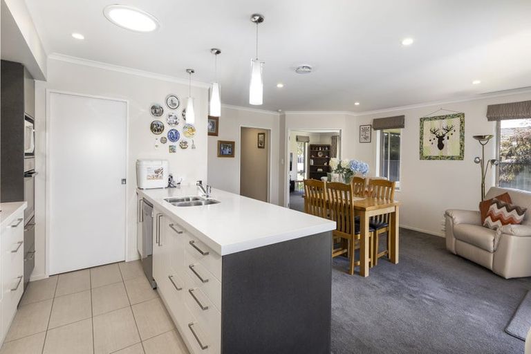 Photo of property in 223 Taylor Pass Road, Witherlea, Blenheim, 7201