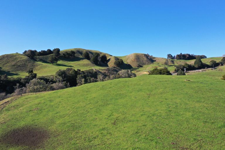 Photo of property in 1141 Waingaro Road, Glen Massey, 3793