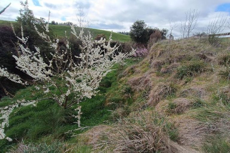 Photo of property in 24 Mangamingi Road, Mihi, Reporoa, 3083