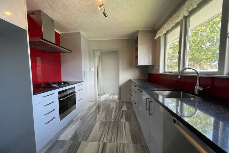 Photo of property in 10 Hinau Street, New Lynn, Auckland, 0600