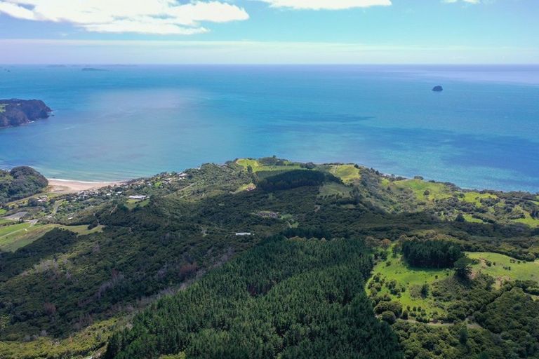 Photo of property in 425m Boat Harbour Road, Whenuakite, Whitianga, 3591