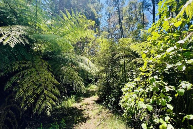 Photo of property in 877 Tiki Quarry Road, Preece Point, Coromandel, 3581