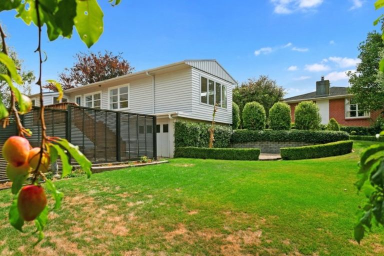 Photo of property in 85 Moore Street, Leamington, Cambridge, 3432