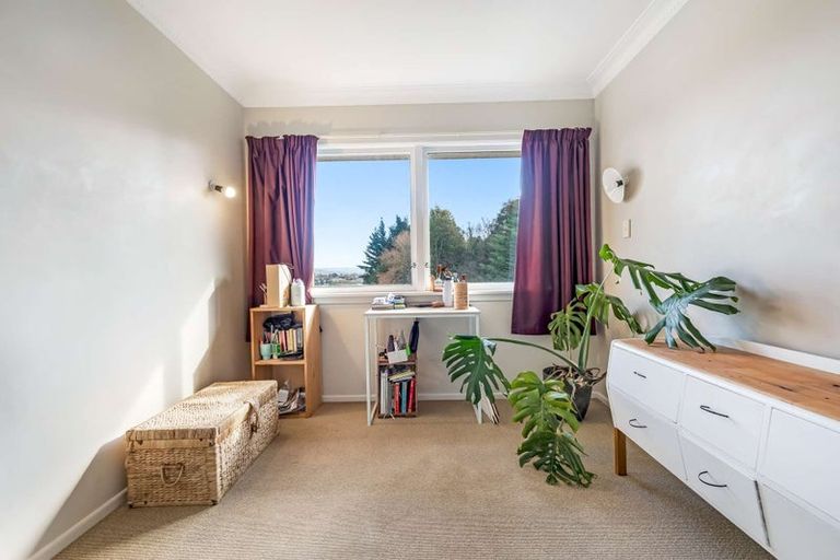 Photo of property in 8 The Drive, Brookfield, Tauranga, 3110