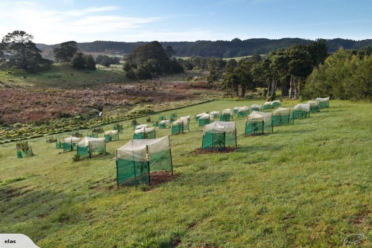 Photo of property in 704 Ngunguru Road, Glenbervie, Whangarei, 0173