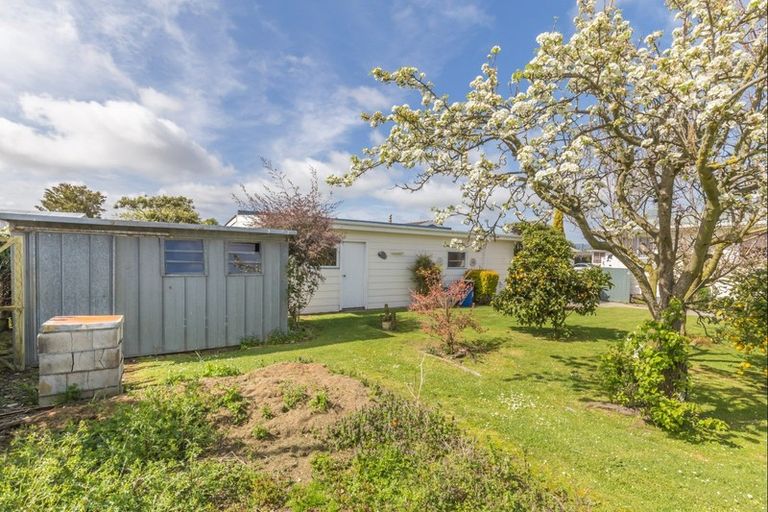 Photo of property in 20 Charles Street, Levin, 5510