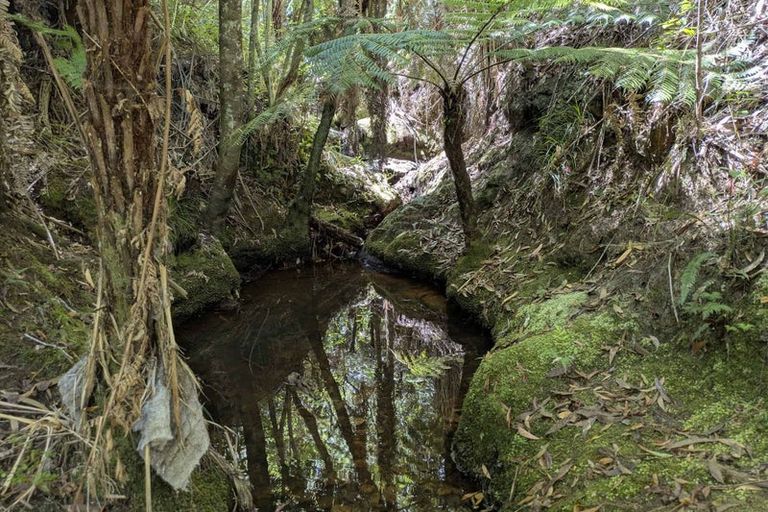 Photo of property in 1b Whatuwhiwhi Road, Karikari Peninsula, 0483