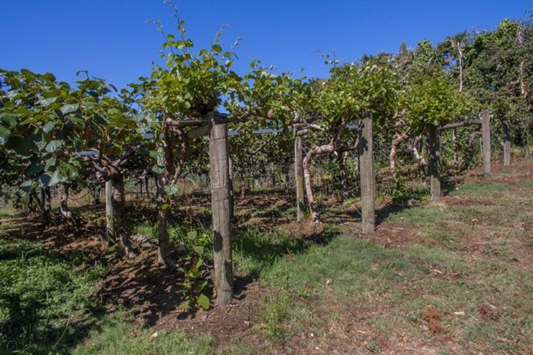 Photo of property in 159 Plantation Road, Rangiriri, Te Kauwhata, 3782