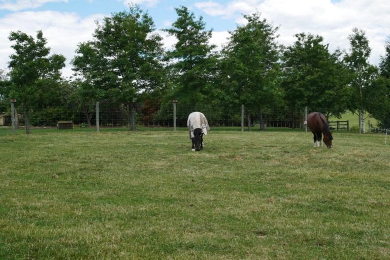 Photo of property in 94 Bassett Road, Rosewill, Timaru, 7975