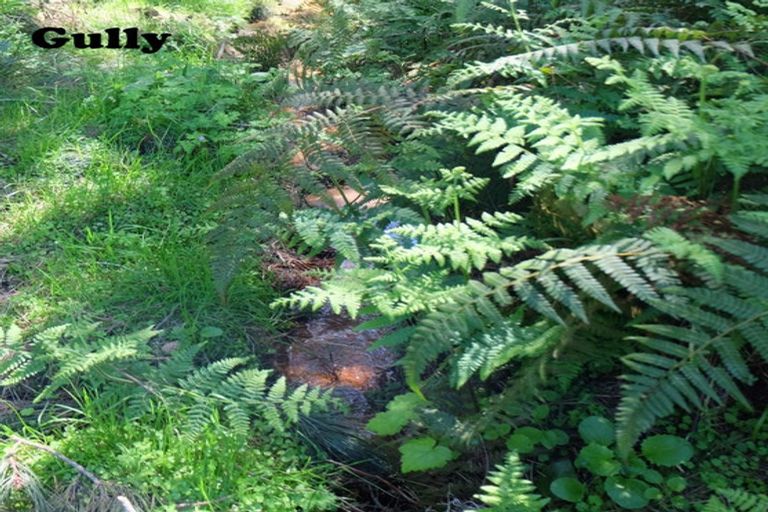 Photo of property in 37 Lakeview Street, Te Kauwhata, 3710