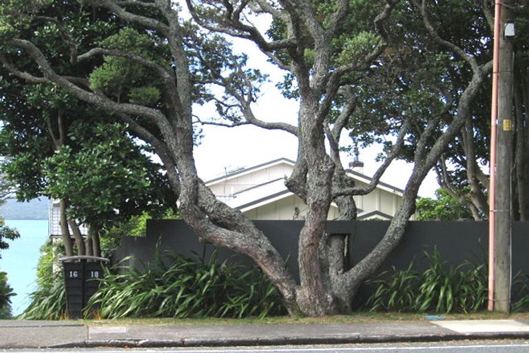 Photo of property in 18 Seacliffe Avenue, Belmont, Auckland, 0622