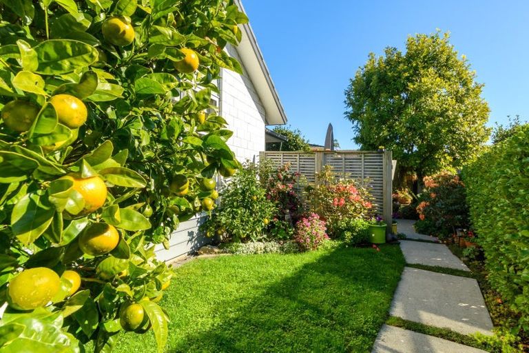 Photo of property in 2 Calla Way, Matua, Tauranga, 3110