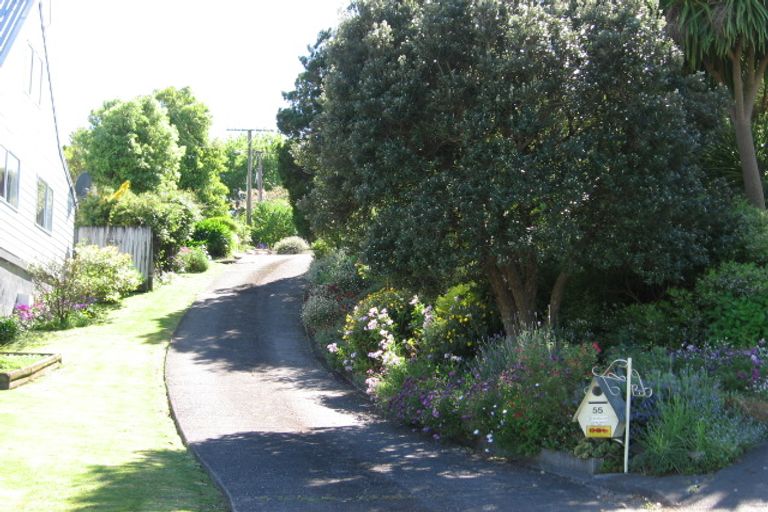 Photo of property in 55 Winter Street, Mangapapa, Gisborne, 4010
