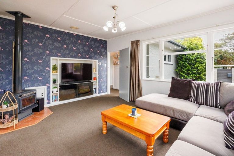Photo of property in 386 Ruahine Street, Terrace End, Palmerston North, 4410