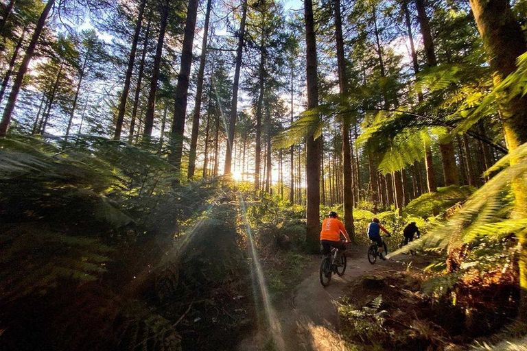 Photo of property in 37/64 Kawaha Point Road, Kawaha Point, Rotorua, 3010