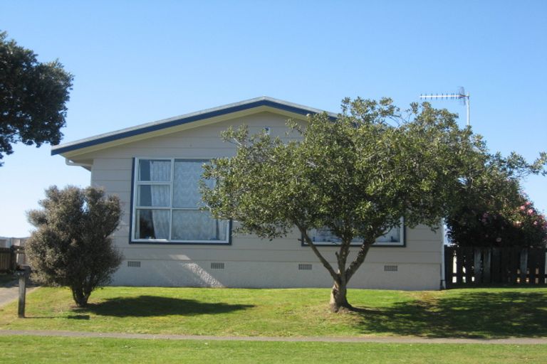 Photo of property in 47 Morgan Crescent, Levin, 5510