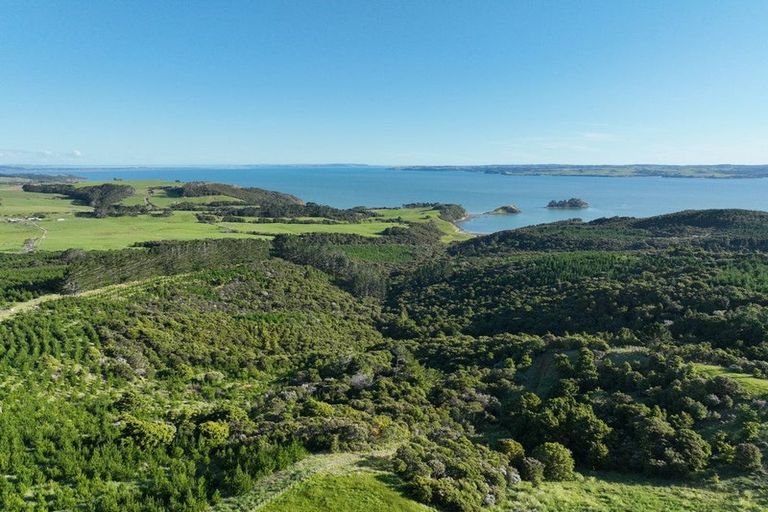 Photo of property in 986 Tinopai Road, Tinopai, Matakohe, 0593