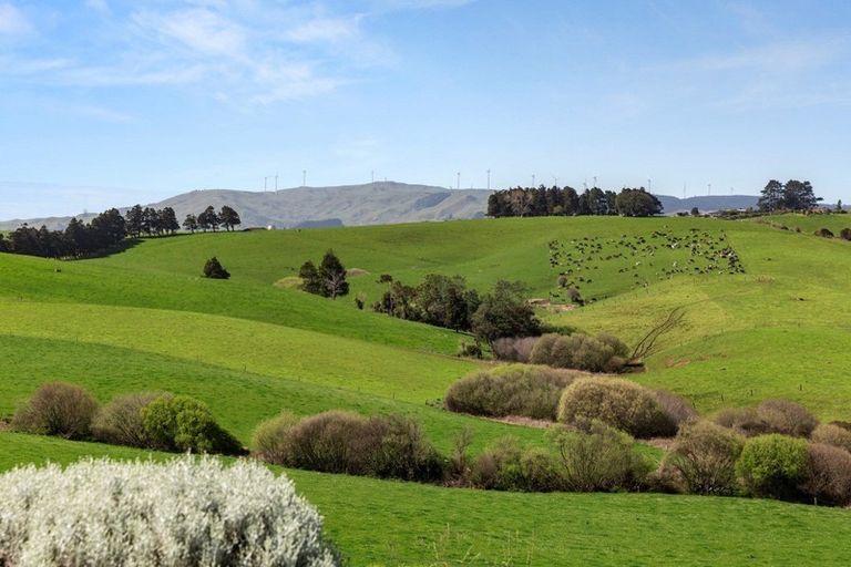 Photo of property in 7b Three Streams Road, Raglan, 3295