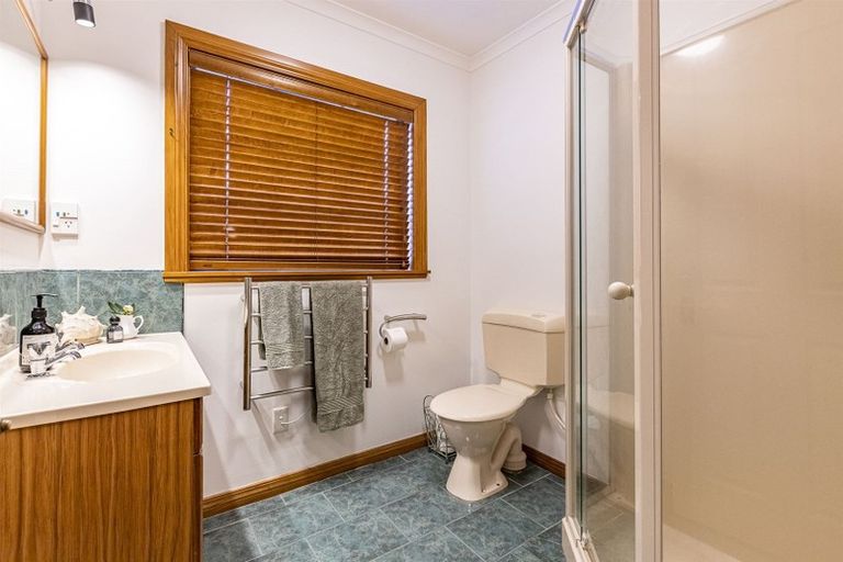 Photo of property in 222 Victoria Avenue, Hokowhitu, Palmerston North, 4410