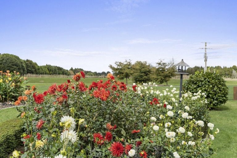 Photo of property in 36 Madison Street, Cambridge, 3434