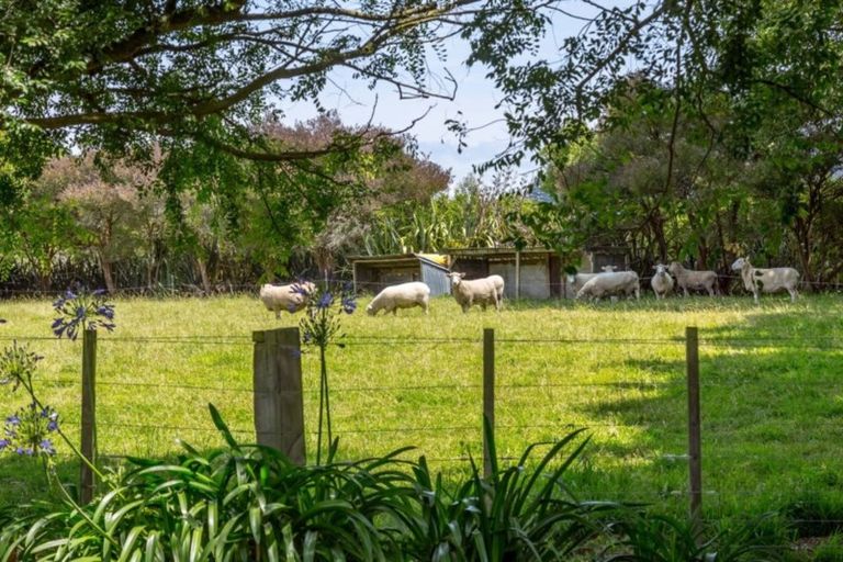 Photo of property in 51 Short Road, Pahiatua, 4982